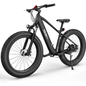 Hiboy Electric Bike for Adults, High-Performance Motor, Removable Battery